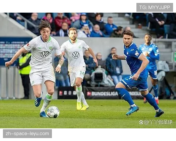 霍芬海姆3-2逆转战胜沃尔夫斯堡